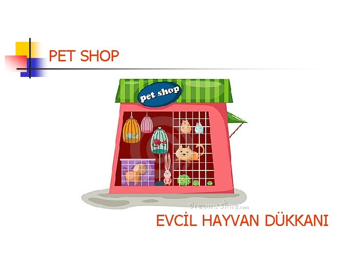 PET SHOP EVCİL HAYVAN DÜKKANI 