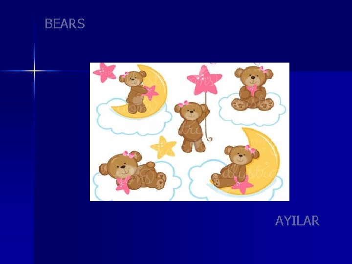 BEARS AYILAR 