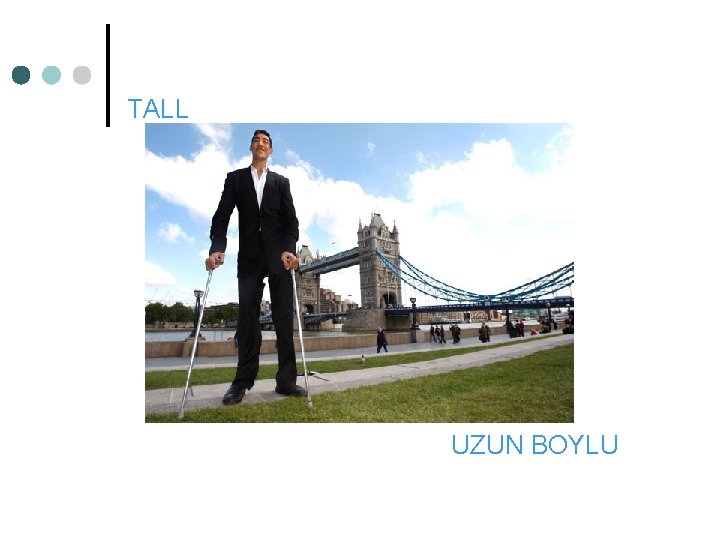 TALL UZUN BOYLU 