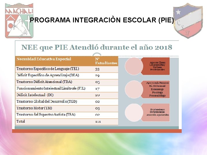 PROGRAMA INTEGRACIÒN ESCOLAR (PIE) 