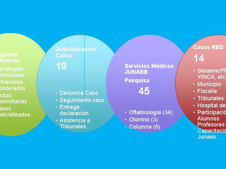 ograma stencia strategias emediales ntrevistas poderados isitas omiciliarias asos udicializados. Casos RED Judicialización Casos