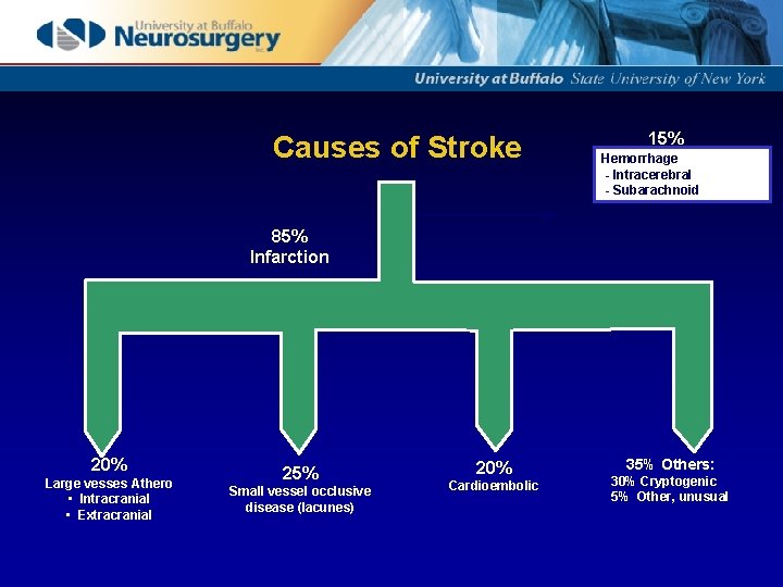 Causes of Stroke 15% Hemorrhage - Intracerebral - Subarachnoid 85% Infarction 20% Large vesses