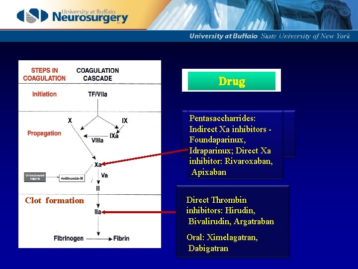 Drug Pentasaccharrides: Indirect Xa inhibitors Foundaparinux, Idraparinux; Direct Xa inhibitor: Rivaroxaban, Apixaban Clot formation