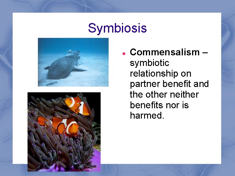 Symbiosis Commensalism – symbiotic relationship on partner benefit and the other neither benefits nor