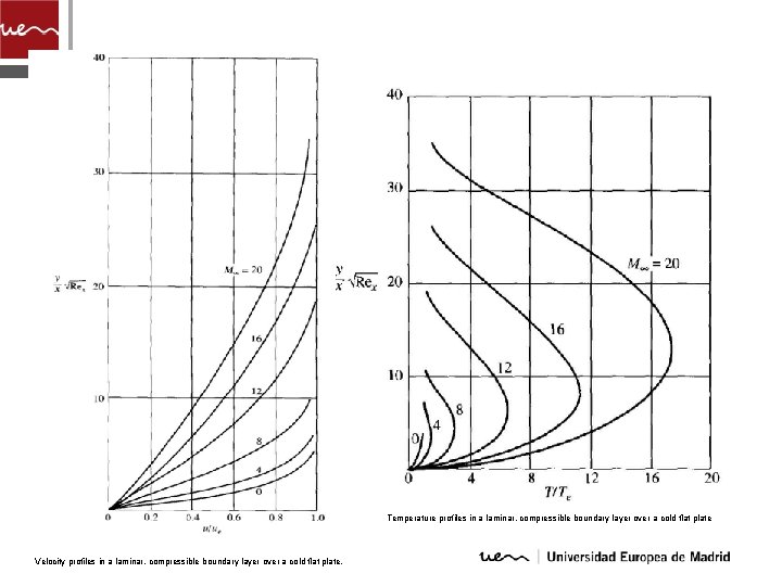 Temperature profiles in a laminar, compressible boundary layer over a cold flat plate Velocity