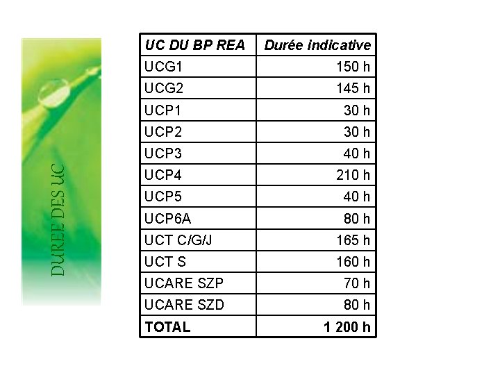 DUREE DES UC UC DU BP REA Durée indicative UCG 1 150 h UCG