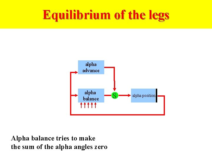 Equilibrium of the legs alpha advance alpha balance Alpha balance tries to make the