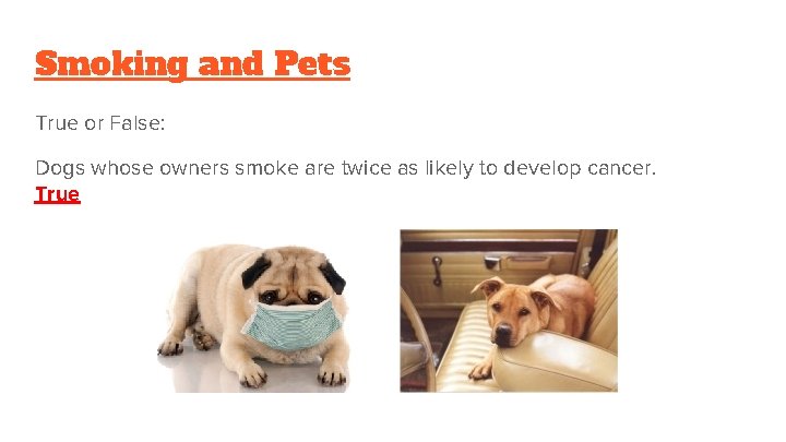 Smoking and Pets True or False: Dogs whose owners smoke are twice as likely