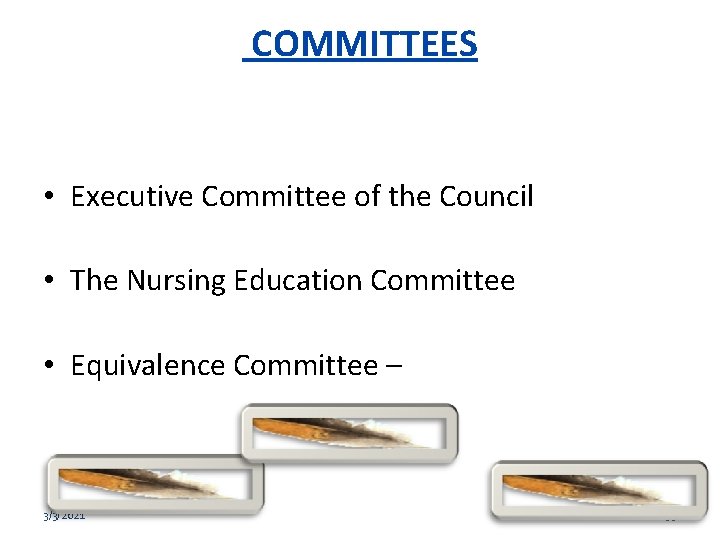 COMMITTEES • Executive Committee of the Council • The Nursing Education Committee • Equivalence