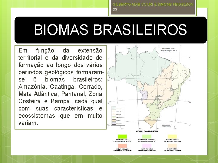 GILBERTO ADIB COURI & SIMONE FEIGELSON 22 BIOMAS BRASILEIROS Em função da extensão territorial