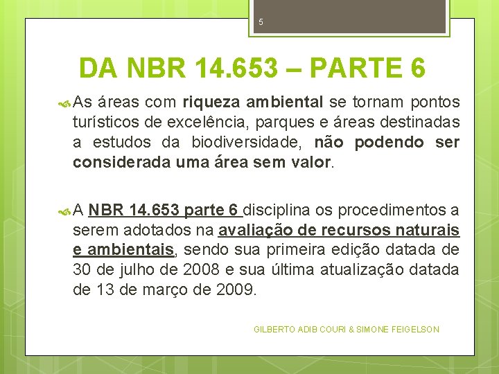 5 DA NBR 14. 653 – PARTE 6 As áreas com riqueza ambiental se