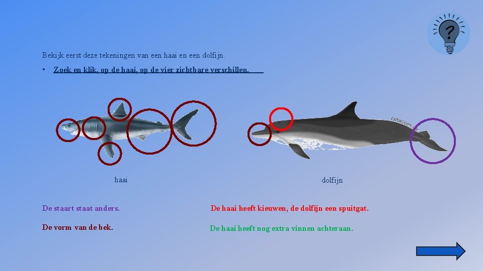 Bekijk eerst deze tekeningen van een haai en een dolfijn. • Zoek en klik,