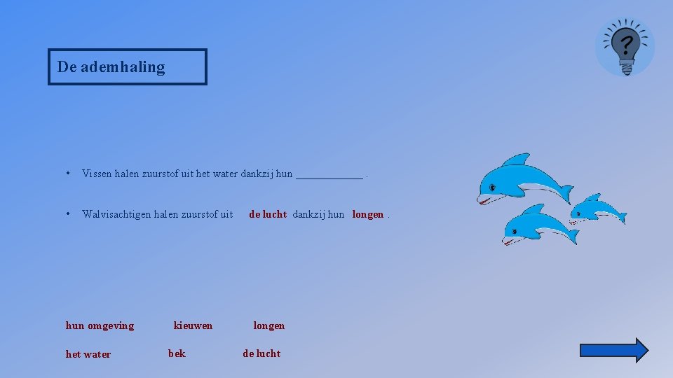 De ademhaling • Vissen halen zuurstof uit het water dankzij hun ______. • Walvisachtigen