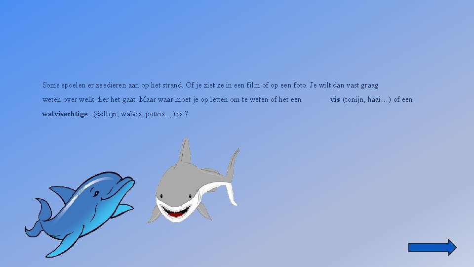 Soms spoelen er zeedieren aan op het strand. Of je ziet ze in een