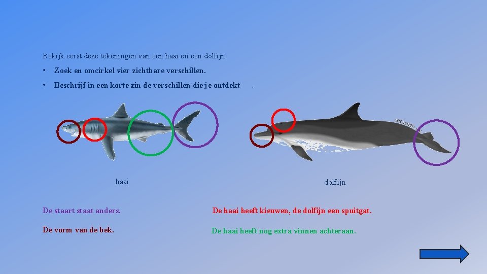 Bekijk eerst deze tekeningen van een haai en een dolfijn. • Zoek en omcirkel