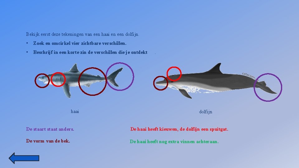 Bekijk eerst deze tekeningen van een haai en een dolfijn. • Zoek en omcirkel