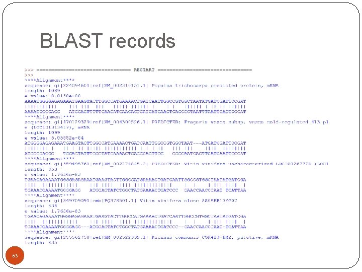 BLAST records 63 