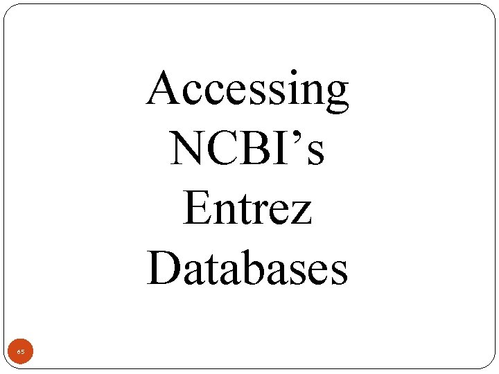 Accessing NCBI’s Entrez Databases 65 