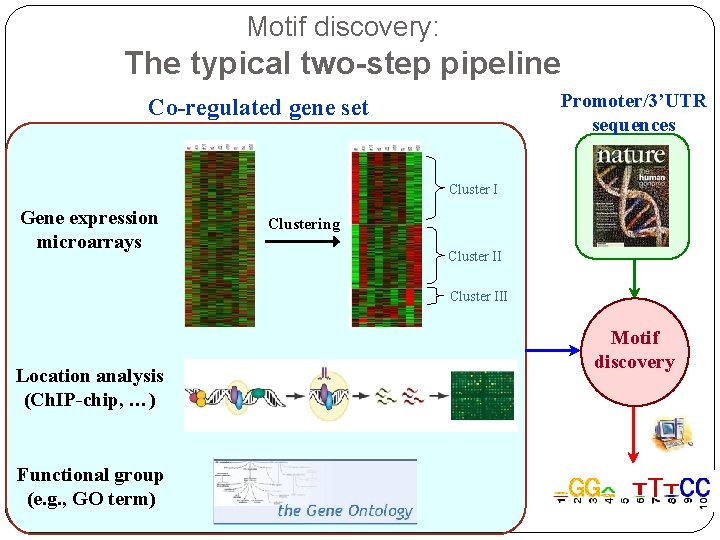 Motif discovery: The typical two-step pipeline Promoter/3’UTR sequences Co-regulated gene set Cluster I Gene