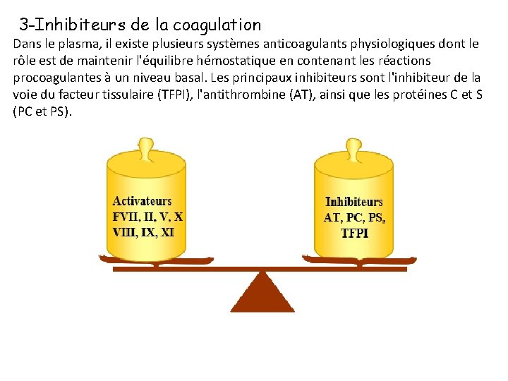3 -Inhibiteurs de la coagulation Dans le plasma, il existe plusieurs systèmes anticoagulants physiologiques