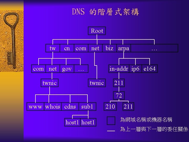 DNS 的階層式架構 Root tw cn com net gov twnic … biz arpa … in-addr