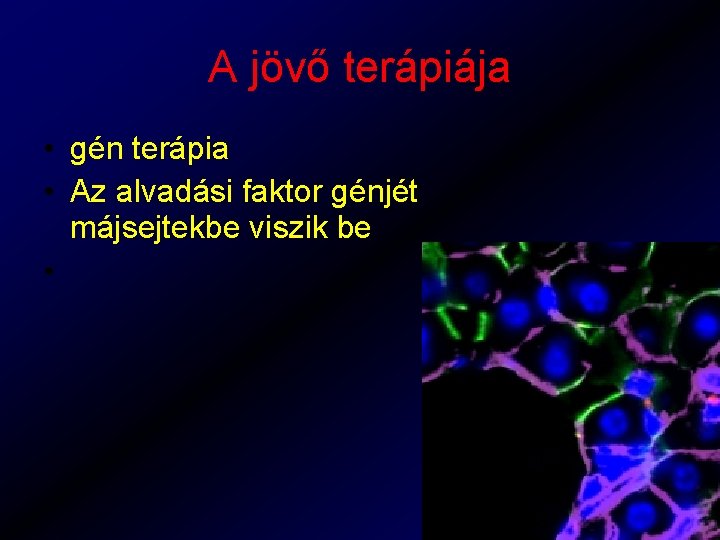 A jövő terápiája • gén terápia • Az alvadási faktor génjét májsejtekbe viszik be