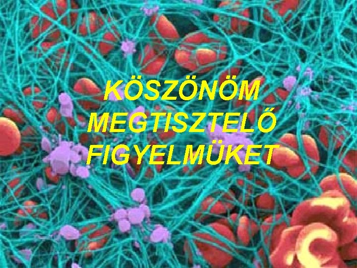 KÖSZÖNÖM MEGTISZTELŐ FIGYELMÜKET 