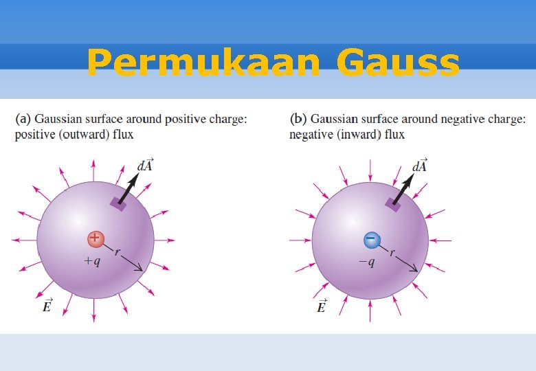 Permukaan Gauss 