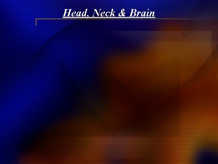 Head, Neck & Brain 