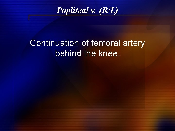 Popliteal v. (R/L) Continuation of femoral artery behind the knee. 