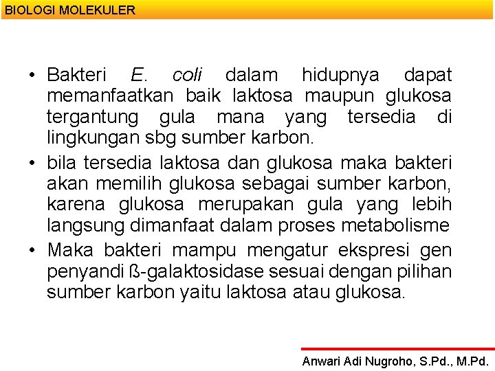 BIOLOGI MOLEKULER • Bakteri E. coli dalam hidupnya dapat memanfaatkan baik laktosa maupun glukosa