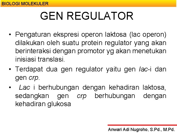 BIOLOGI MOLEKULER GEN REGULATOR • Pengaturan ekspresi operon laktosa (lac operon) dilakukan oleh suatu