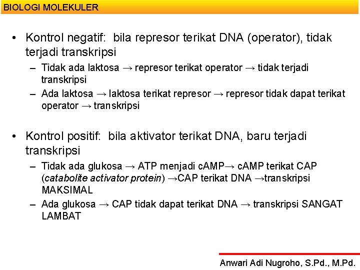 BIOLOGI MOLEKULER • Kontrol negatif: bila represor terikat DNA (operator), tidak terjadi transkripsi –