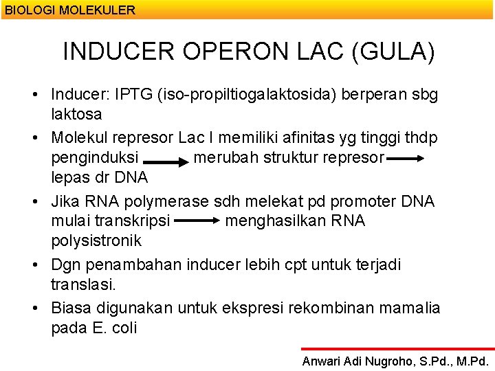 BIOLOGI MOLEKULER INDUCER OPERON LAC (GULA) • Inducer: IPTG (iso-propiltiogalaktosida) berperan sbg laktosa •