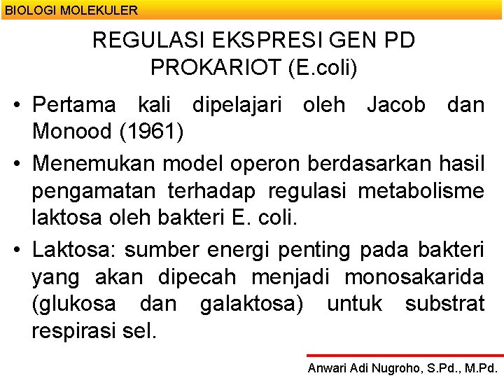 BIOLOGI MOLEKULER REGULASI EKSPRESI GEN PD PROKARIOT (E. coli) • Pertama kali dipelajari oleh