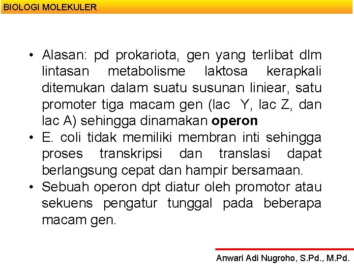 BIOLOGI MOLEKULER • Alasan: pd prokariota, gen yang terlibat dlm lintasan metabolisme laktosa kerapkali