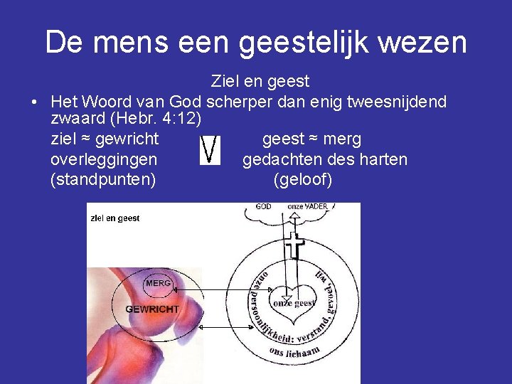 De mens een geestelijk wezen Ziel en geest • Het Woord van God scherper