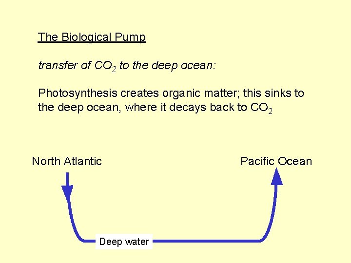 The Biological Pump transfer of CO 2 to the deep ocean: Photosynthesis creates organic
