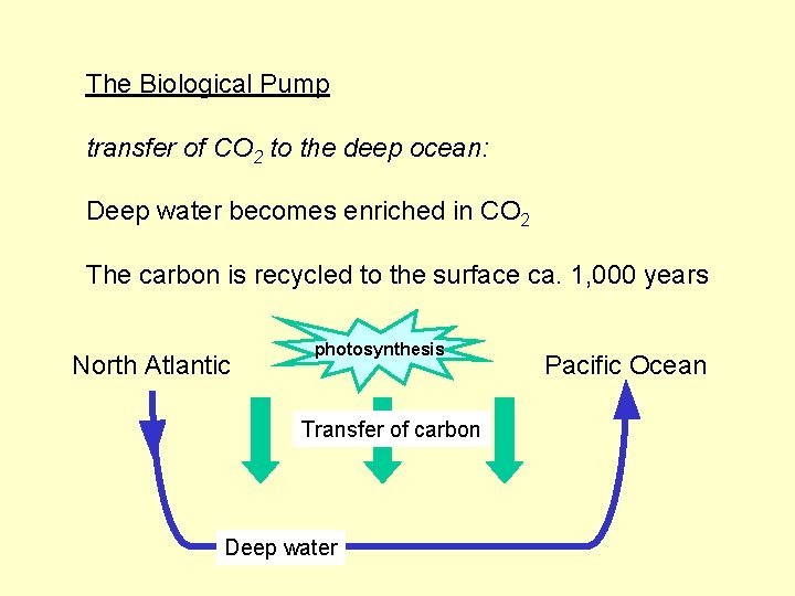 The Biological Pump transfer of CO 2 to the deep ocean: Deep water becomes