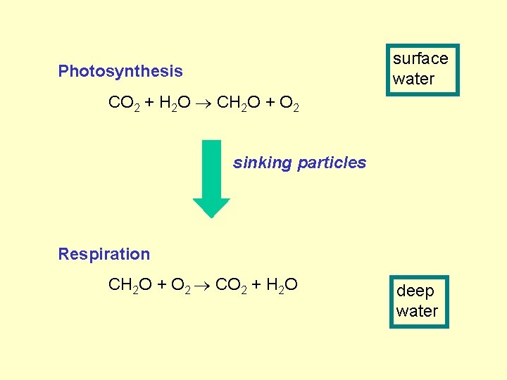 surface water Photosynthesis CO 2 + H 2 O CH 2 O + O
