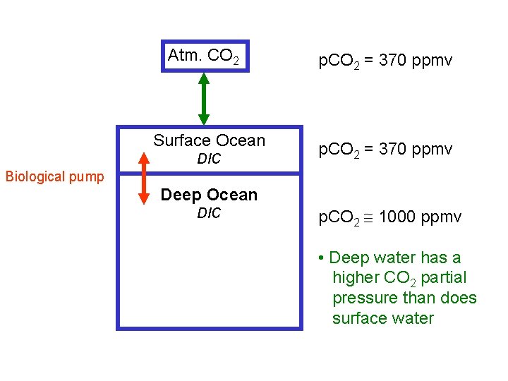 Atm. CO 2 Surface Ocean DIC p. CO 2 = 370 ppmv Biological pump
