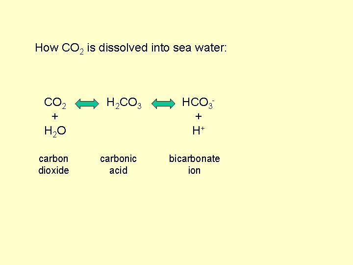 How CO 2 is dissolved into sea water: CO 2 + H 2 O