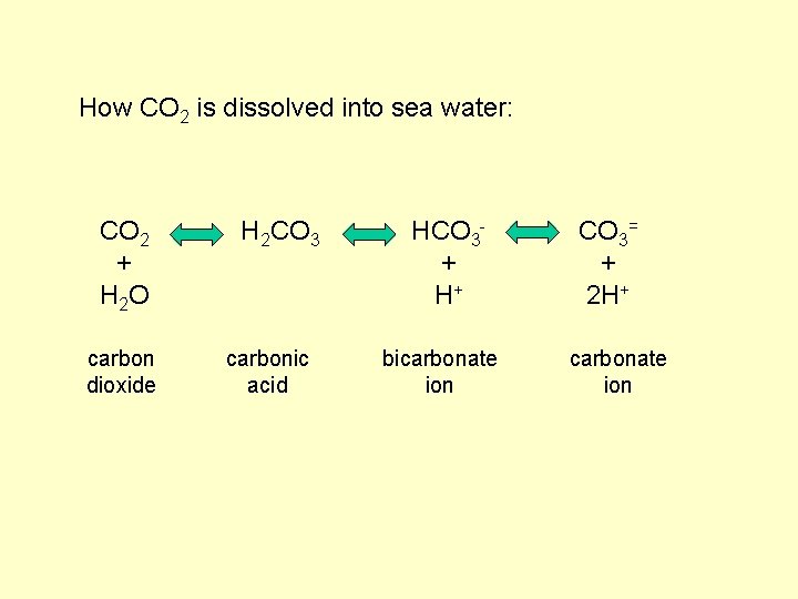 How CO 2 is dissolved into sea water: CO 2 + H 2 O