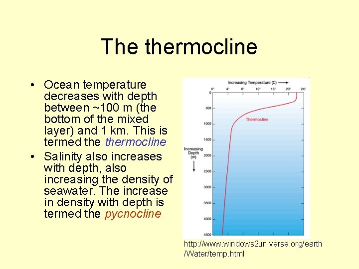 The thermocline • Ocean temperature decreases with depth between ~100 m (the bottom of