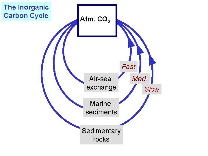 The Inorganic Carbon Cycle Atm. CO 2 Fast Air-sea exchange Marine sediments Sedimentary rocks