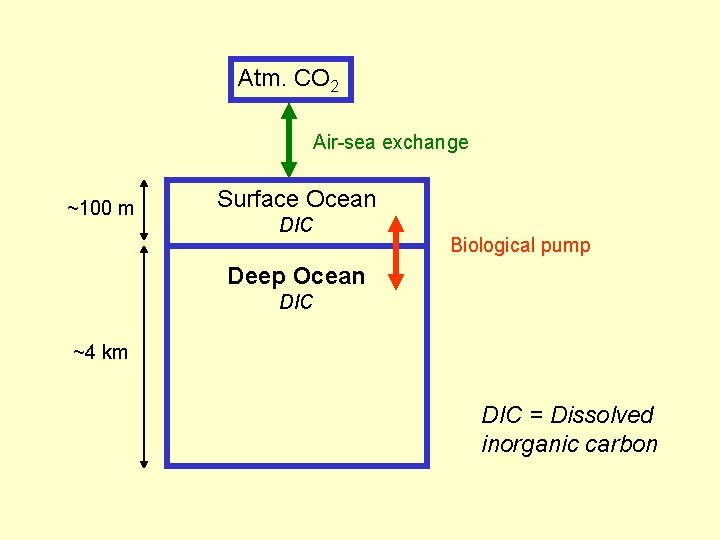 Atm. CO 2 Air-sea exchange ~100 m Surface Ocean DIC Biological pump Deep Ocean
