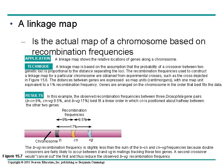  • A linkage map – Is the actual map of a chromosome based