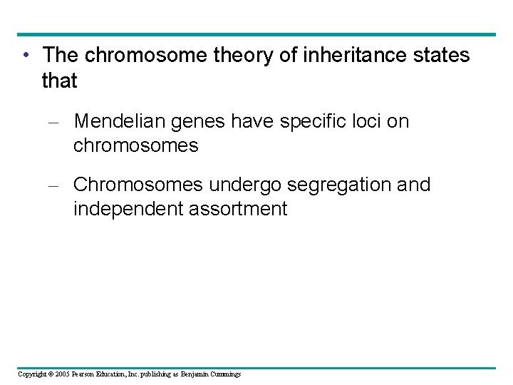  • The chromosome theory of inheritance states that – Mendelian genes have specific