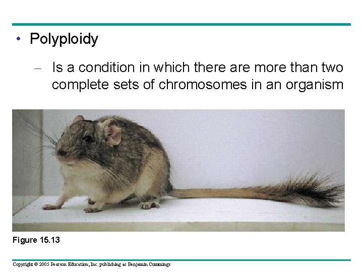  • Polyploidy – Is a condition in which there are more than two