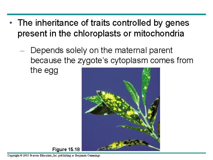  • The inheritance of traits controlled by genes present in the chloroplasts or